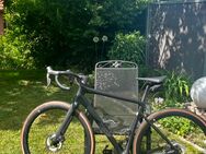 Rennrad Reveal 06 Ultegra Di2 mit integriertem Powermeter - Wilhermsdorf