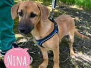 Nina ein kleines Engelchen - Flörsheim-Dalsheim