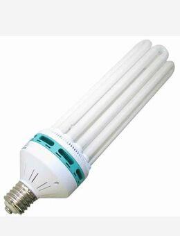 Energiesparlampe Pflanzenlampe - Leipzig Nordwest