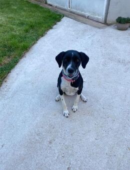 Lulu 🩷🩷🩷 sucht behütetes Plätzchen - Herxheim (Landau)