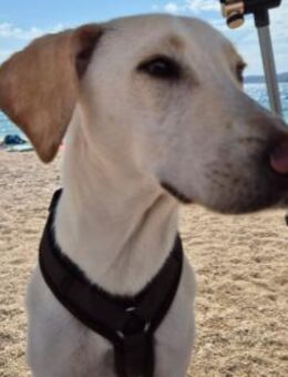 ONNI jung und verspielt - Kallmünz