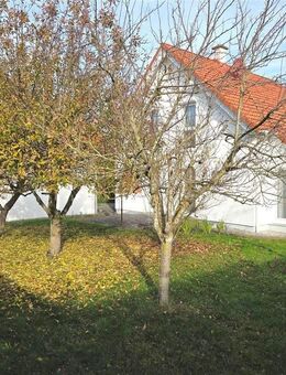 Charmantes Familiendomizil auf sonnigem Grundstück - Ehingen (Donau)