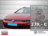 VW Golf Variant, 2.0 TDI VIII Life, Jahr 2022 - Melle