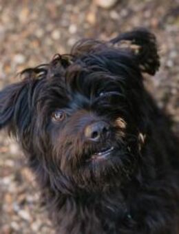 CAYO - aufgeschlossen und neugierig - Overath