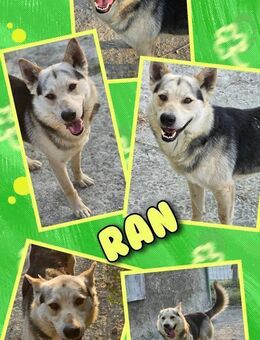 Bildschöner Ran wartet schon so lange! - Nürnberg