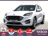 Ford Kuga, FHEV 190 AWD ST-Line X eHK 18Z, Jahr 2024 - Freiburg (Breisgau)