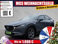 Mazda CX-30, 2.0 SkyactivX M Hybrid Selectio #, Jahr 2020 - Bayreuth