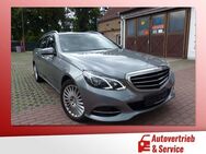 Mercedes-Benz E 220 CDi T BlueEfficienncy Elegance Autom. - Potsdam