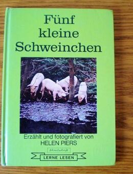 Fünf kleine Schweinchen-Helen Piers-Carlsen Verlag,von 1974,Kinderbuch,lesen lernen - Linnich