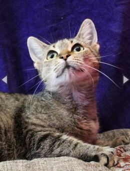 Ursula, anfangs noch schüchtern - Heinsdorfergrund