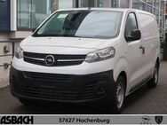 Opel Vivaro, Cargo M Holzboden, Jahr 2024 - Hachenburg