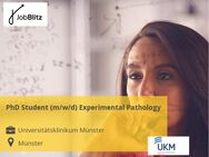 PhD Student (m/w/d) Experimental Pathology - Münster