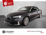 Audi A5, Cabriolet Advanced 40 TFSI, Jahr 2024 - Lohr (Main)