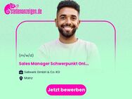 Sales Manager (m/w/d) Schwerpunkt Online Marketing - Limburg (Lahn)