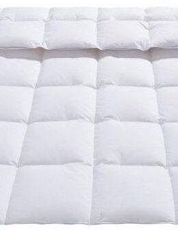 OBB Daunenbettdecke Edition 125 Jahre, Bettdecken für Sommer und Winter, Ganzjahresdecke, Füllung: 90%Daunen, 10% Federn, Bezug: 100% Baumwolle, Bettdecke 135x200 cm, 155x220 cm & weitere Größen, Made in Germany