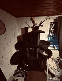 Kratzbaum abzugeben - Hürtgenwald