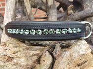 Lederhalsband Hundehalsband 65cm schwarz grün Swarovski - Beckum