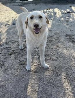 TEDY IST BEREIT FÜR ALLE ABENTEUER - Mönchengladbach