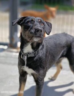 Ein Weihnachtsmärchen für JUNA❤️ - Fahrenzhausen