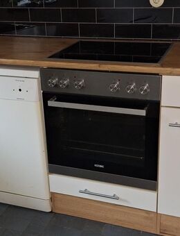Küchenunterschränke, Küchenzeile mit Arbeitsplatte, Herd/Backofen, Geschirrspülmaschine - Kaiserslautern