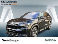 Skoda Kodiaq, 1.5 TSI 110kW iV Sportline, Jahr 2024 - Gummersbach