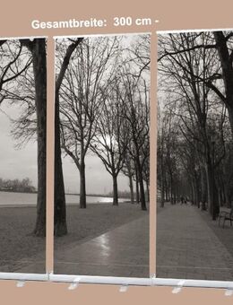 Roll-Up Display 3er-Set - Bestatter-Bedarf: "Tagore-Promenade, Plattensee" - Dekoration Trauerhalle - Wilhelmshaven Zentrum