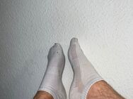 Stinkende getragene Socken - Nordharz