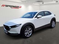 Mazda CX-30 Navi Head-Up DAB ACC SHZ - Calden