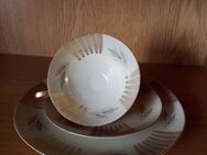 Bavaria, Teller, Tasse, Sammletasse, Porzellan guter Zustand - Rheda-Wiedenbrück
