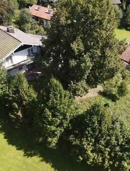 Traumhaftes Grundstück mit Altbestand und unverbaubarem Bergblick - Marquartstein