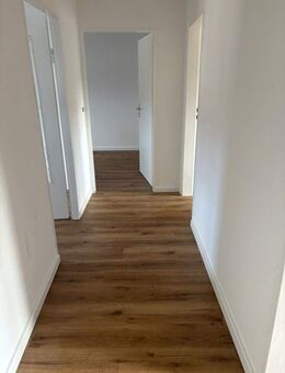 Frisch sanierte 3-Zimmer-Wohnung mit Tageslichtbad - Hettenleidelheim