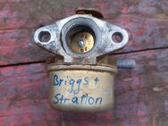 Briggs&Straton Vergaser - Büdingen