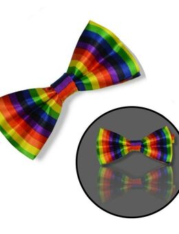 Regenbogen Fliege Farbige Schleife Schmetterling Unisex Verstellbar 8,90€* - Villingen-Schwenningen
