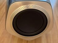 Bang & Olufsen B&O Beolab 19 Wisa Subwoofer - Zürich