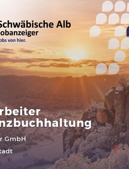 Mitarbeiter (m/w/d) Finanzbuchhaltung - Albstadt