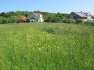 schönes großzügiges Baugrundstück in ruhiger Ortsrandlage - Burgkirchen (Alz)