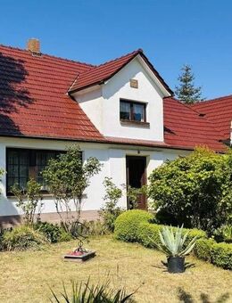 Ihr sonniges Plätzchen mit viel Grün - Wiek