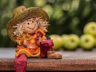 Alter Bauernhof Hofstelle zu verkaufen - Gefrees