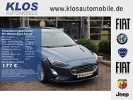 Ford Focus, 1.5 TITANIUM DESIGNPAKET, Jahr 2019 - Marpingen