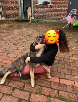 Suche eine beste Freundin - Gütersloh