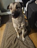 Suche ein neues Zuhause in 23569