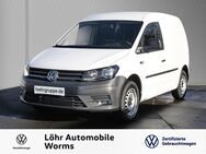 VW Caddy, 2.0 TDI Kasten, Jahr 2019 - Worms