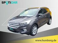 Ford Kuga, 1.5 Titanium EcoBoost, Jahr 2017 - Bad Driburg