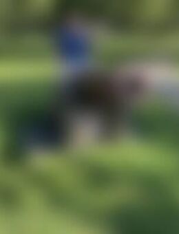 Luc*** - Düsseldorf