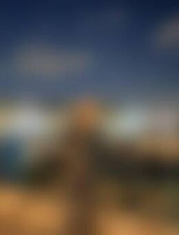 Mir*** - Frankfurt (Main)