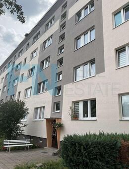+++Geräumige frisch sanierte 2Raumwohnung mit Blick über Bad Düben+++ - Bad Düben