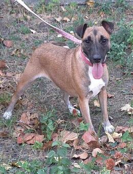 Die liebe Medal wartet auf ein Happy End - Dortmund