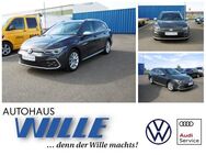 VW Golf Variant, 2.0 TDI Golf VIII Alltrack, Jahr 2021 - Wernigerode