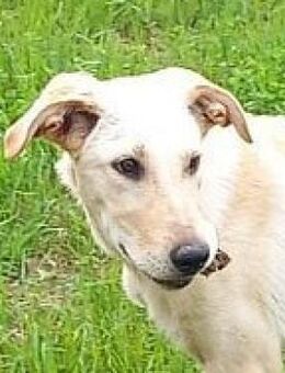 Jonathan kann es kaum erwarten - Mettmann