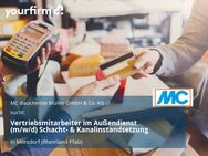 Vertriebsmitarbeiter im Außendienst (m/w/d) Schacht- & Kanalinstandsetzung - Mörsdorf (Rheinland-Pfalz)